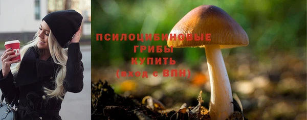 ALPHA PVP Баксан